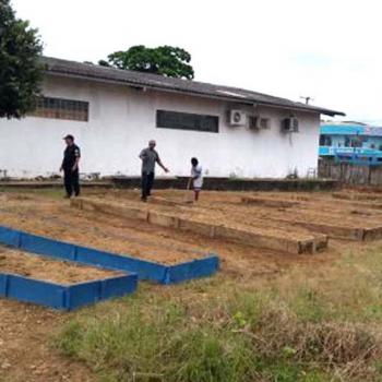 Colégio Tiradentes implanta horta orgânica para diversificação alimentar da merenda escolar